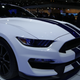 Illustration for article titled The 2015 Shelby GT350 Is The Angry Mustang We Demanded